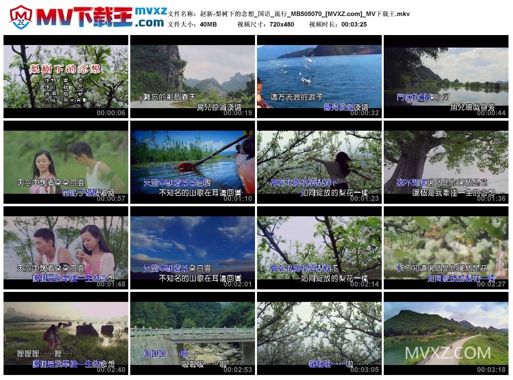 赵新-梨树下的念想_国语_流行_MB505070